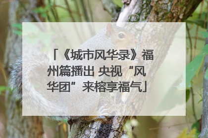 《城市风华录》福州篇播出 央视“风华团”来榕享福气
