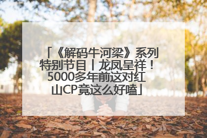 《解码牛河梁》系列特别节目丨龙凤呈祥！5000多年前这对红山CP竟这么好嗑