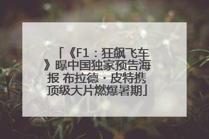 《F1：狂飙飞车》曝中国独家预告海报 布拉德・皮特携顶级大片燃爆暑期