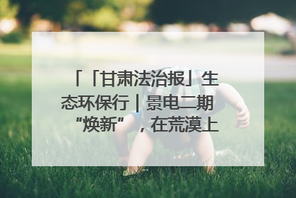 「甘肃法治报」生态环保行｜景电二期“焕新”，在荒漠上筑起一道绿色长城