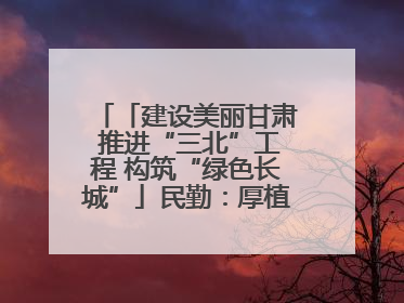 「建设美丽甘肃 推进“三北”工程 构筑“绿色长城”」民勤：厚植生态底色 筑牢绿色屏障