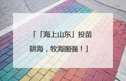 「海上山东」投苗耕海，牧海图强！