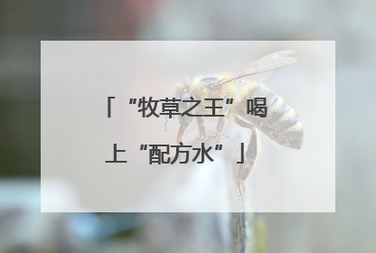 “牧草之王”喝上“配方水”