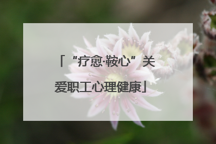 “疗愈·鞍心”关爱职工心理健康