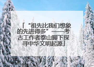 “祖先比我们想象的先进得多”——考古工作者泰山脚下探寻中华文明起源