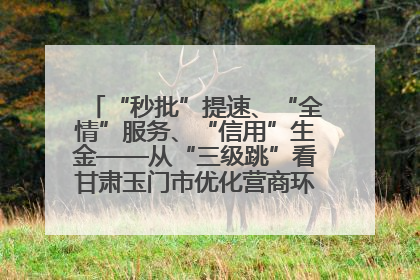 “秒批”提速、“全情”服务、“信用”生金——从“三级跳”看甘肃玉门市优化营商环境的进阶之路