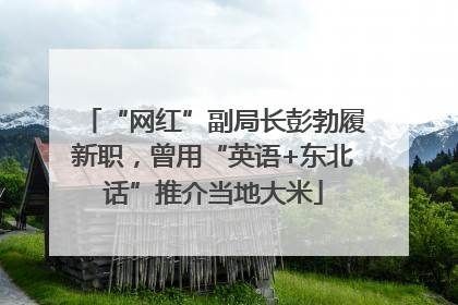 “网红”副局长彭勃履新职，曾用“英语+东北话”推介当地大米