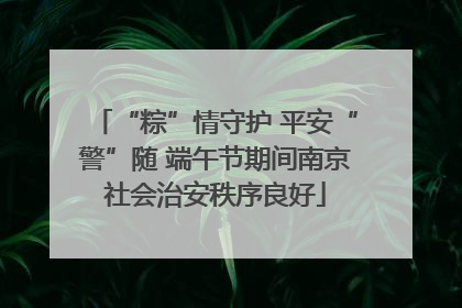 “粽”情守护 平安“警”随 端午节期间南京社会治安秩序良好