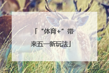 “体育+”带来五一新玩法
