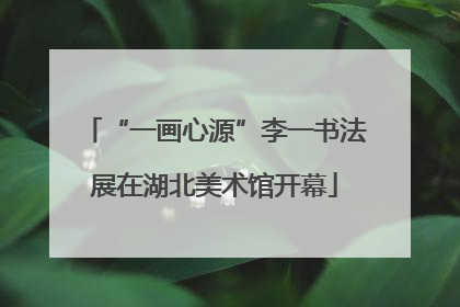 “一画心源”李一书法展在湖北美术馆开幕