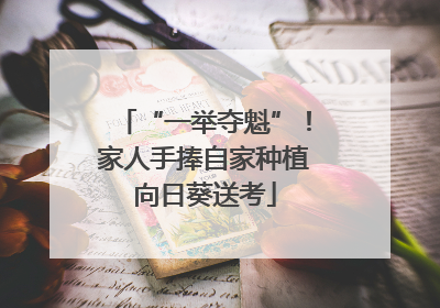 “一举夺魁”！家人手捧自家种植向日葵送考