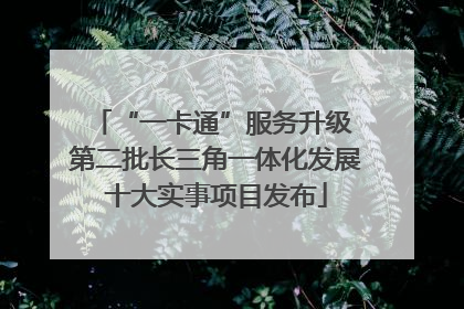 “一卡通”服务升级 第二批长三角一体化发展十大实事项目发布