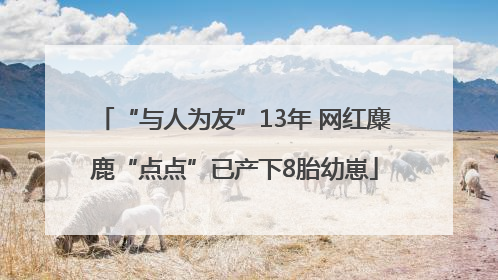 “与人为友”13年 网红麋鹿“点点”已产下8胎幼崽