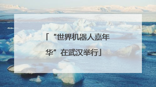 “世界机器人嘉年华”在武汉举行