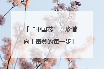 “中国芯”，珍惜向上攀登的每一步