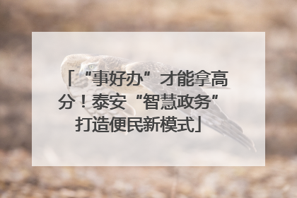 “事好办”才能拿高分！泰安“智慧政务”打造便民新模式