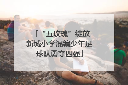 “五玫瑰”绽放 新城小学混编少年足球队勇夺四强