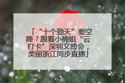“十个勤天”要空降？跟着小楠姐“云打卡”深圳文博会，美丽浙江同步直播