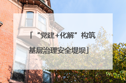 “党建+化解”构筑基层治理安全堤坝