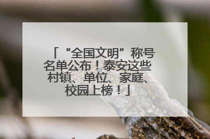 “全国文明”称号名单公布！泰安这些村镇、单位、家庭、校园上榜！