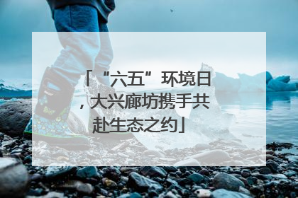 “六五”环境日，大兴廊坊携手共赴生态之约