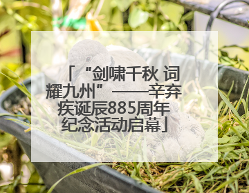 “剑啸千秋 词耀九州”——辛弃疾诞辰885周年纪念活动启幕
