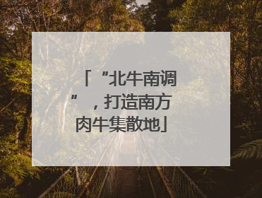 “北牛南调”，打造南方肉牛集散地