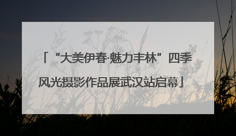 “大美伊春·魅力丰林”四季风光摄影作品展武汉站启幕