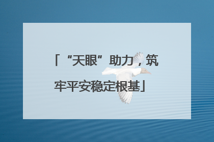 “天眼”助力，筑牢平安稳定根基