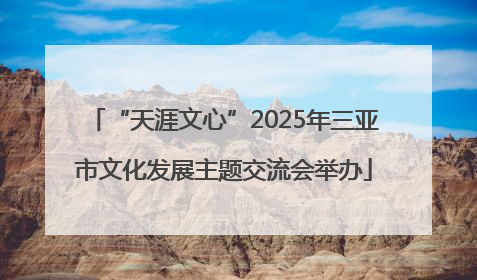 “天涯文心”2025年三亚市文化发展主题交流会举办