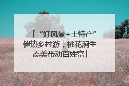 “好风景+土特产”催热乡村游，桃花涧生态美带动百姓富