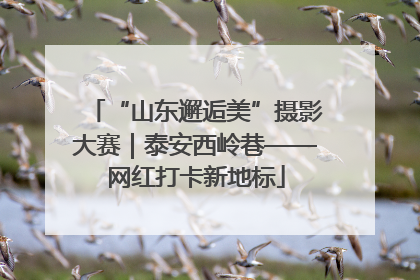 “山东邂逅美”摄影大赛｜泰安西岭巷——网红打卡新地标