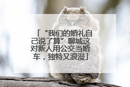 “我们的婚礼自己说了算”聊城这对新人用公交当婚车，独特又浪漫