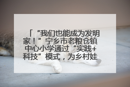 “我们也能成为发明家！”宁乡市老粮仓镇中心小学通过“实践+科技”模式，为乡村娃探索教育新路径