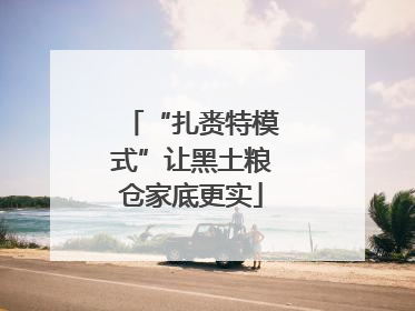 “扎赉特模式”让黑土粮仓家底更实