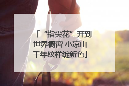 “指尖花”开到世界橱窗 小凉山千年纹样绽新色