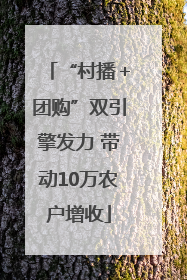 “村播＋团购”双引擎发力 带动10万农户增收