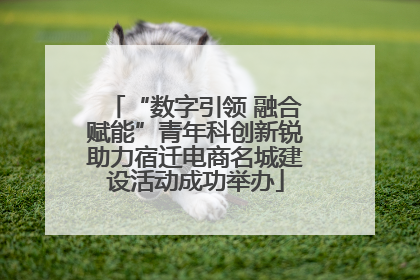 “数字引领 融合赋能”青年科创新锐助力宿迁电商名城建设活动成功举办