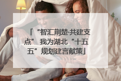 “智汇荆楚·共建支点” 我为湖北“十五五”规划建言献策