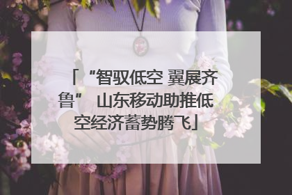 “智驭低空 翼展齐鲁” 山东移动助推低空经济蓄势腾飞