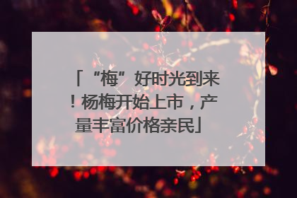“梅”好时光到来！杨梅开始上市，产量丰富价格亲民
