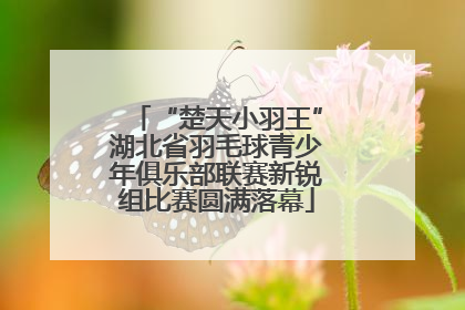 “楚天小羽王”湖北省羽毛球青少年俱乐部联赛新锐组比赛圆满落幕