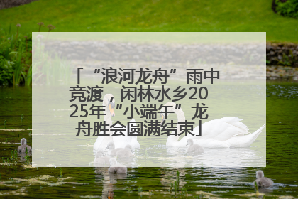 “浪河龙舟”雨中竞渡，闲林水乡2025年“小端午”龙舟胜会圆满结束