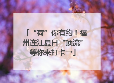 “荷”你有约！福州连江夏日“顶流”等你来打卡→