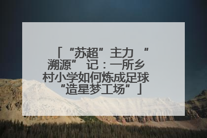 “苏超”主力 “溯源” 记：一所乡村小学如何炼成足球 “造星梦工场”