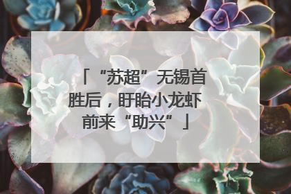 “苏超”无锡首胜后，盱眙小龙虾前来“助兴”
