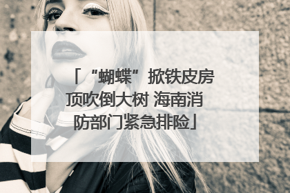 “蝴蝶”掀铁皮房顶吹倒大树 海南消防部门紧急排险