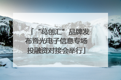 “葛创汇”品牌发布暨光电子信息专场投融资对接会举行