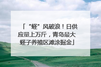 “蛏”风破浪！日供应量上万斤，青岛最大蛏子养殖区滩涂掘金