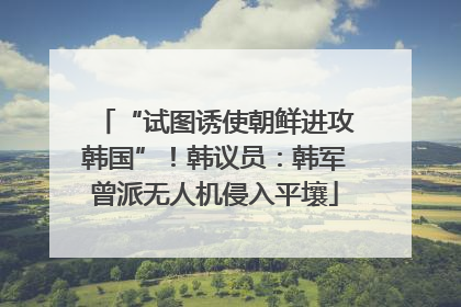 “试图诱使朝鲜进攻韩国”！韩议员：韩军曾派无人机侵入平壤